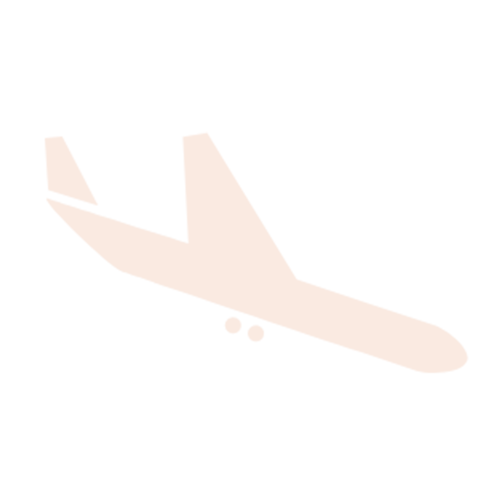 Pink plane icon