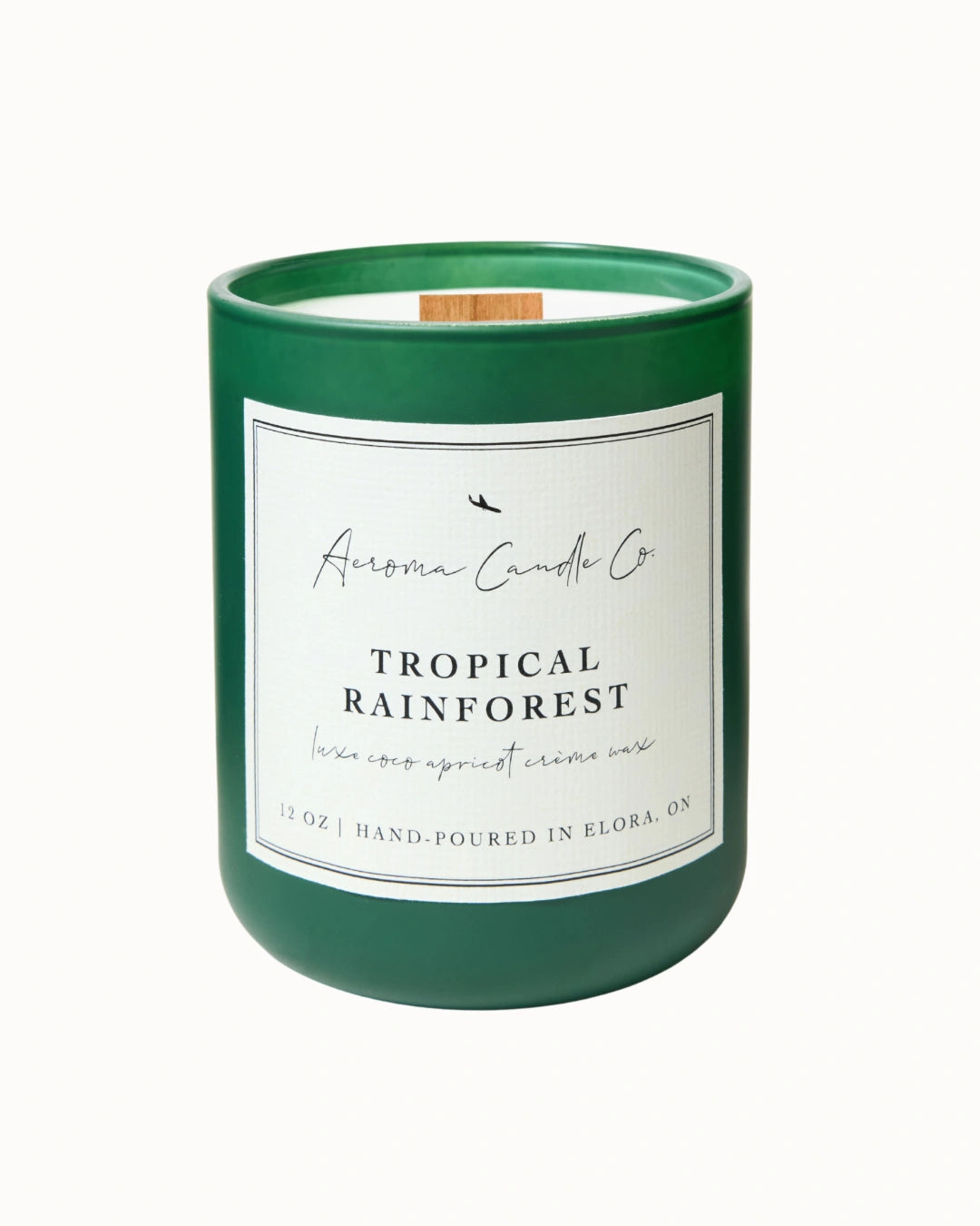 Tropical Rainforest