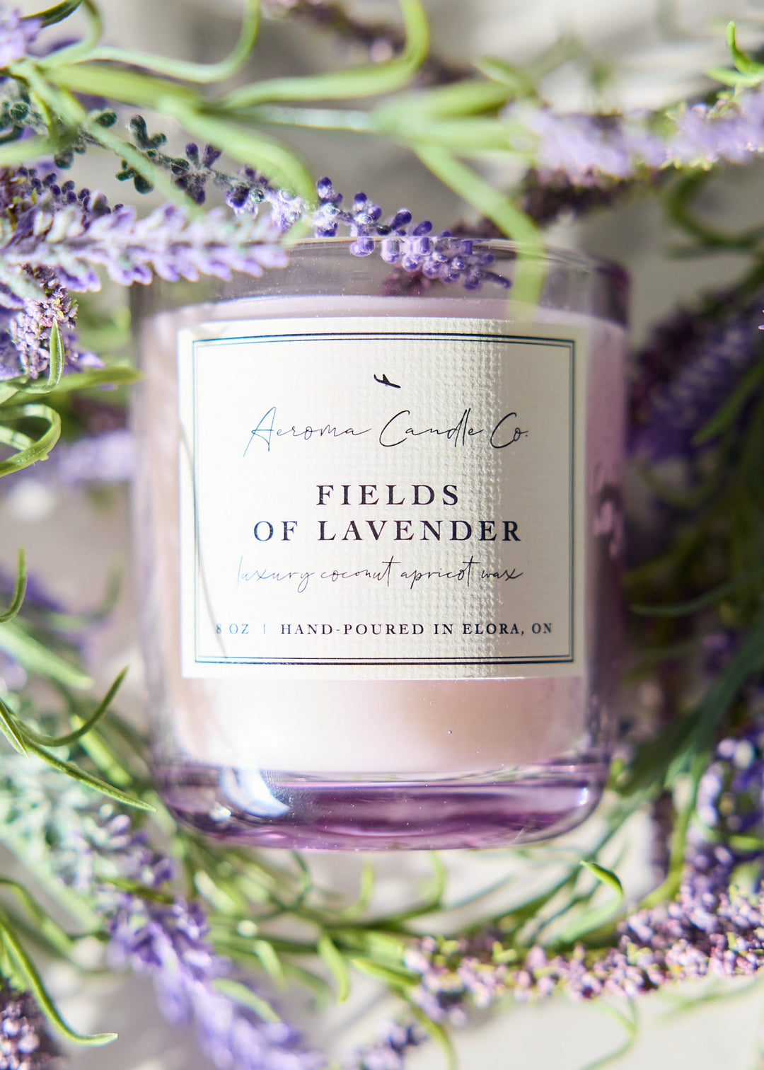 Fields of Lavender