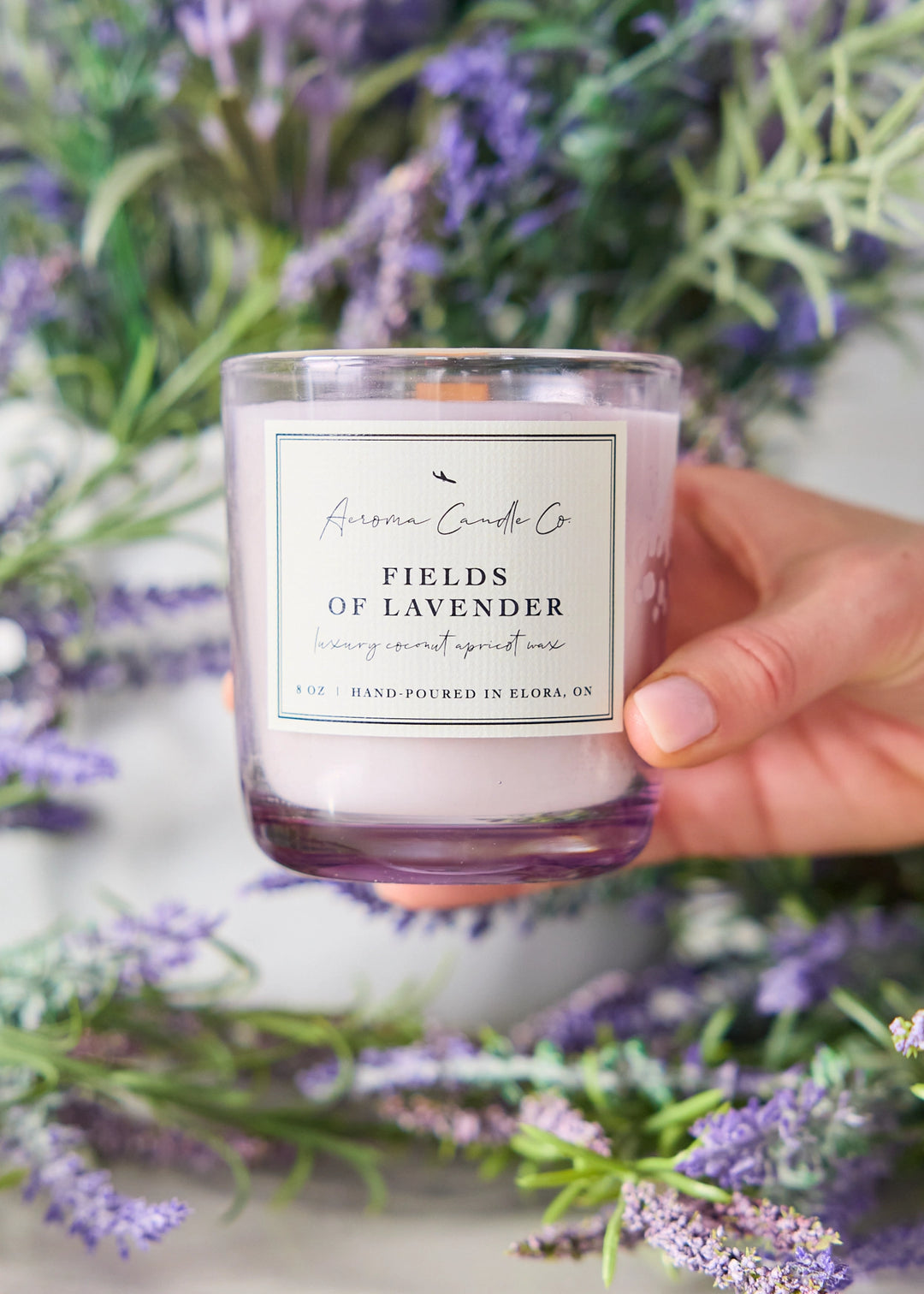 Fields of Lavender